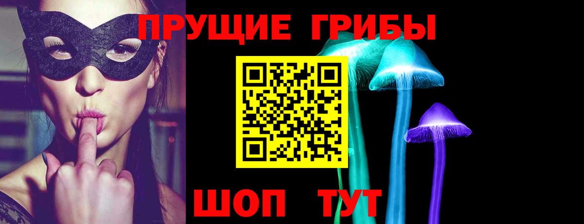 Псилоцибиновые грибы Psilocybine cubensis Великие Луки